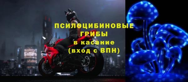 стафф Абаза